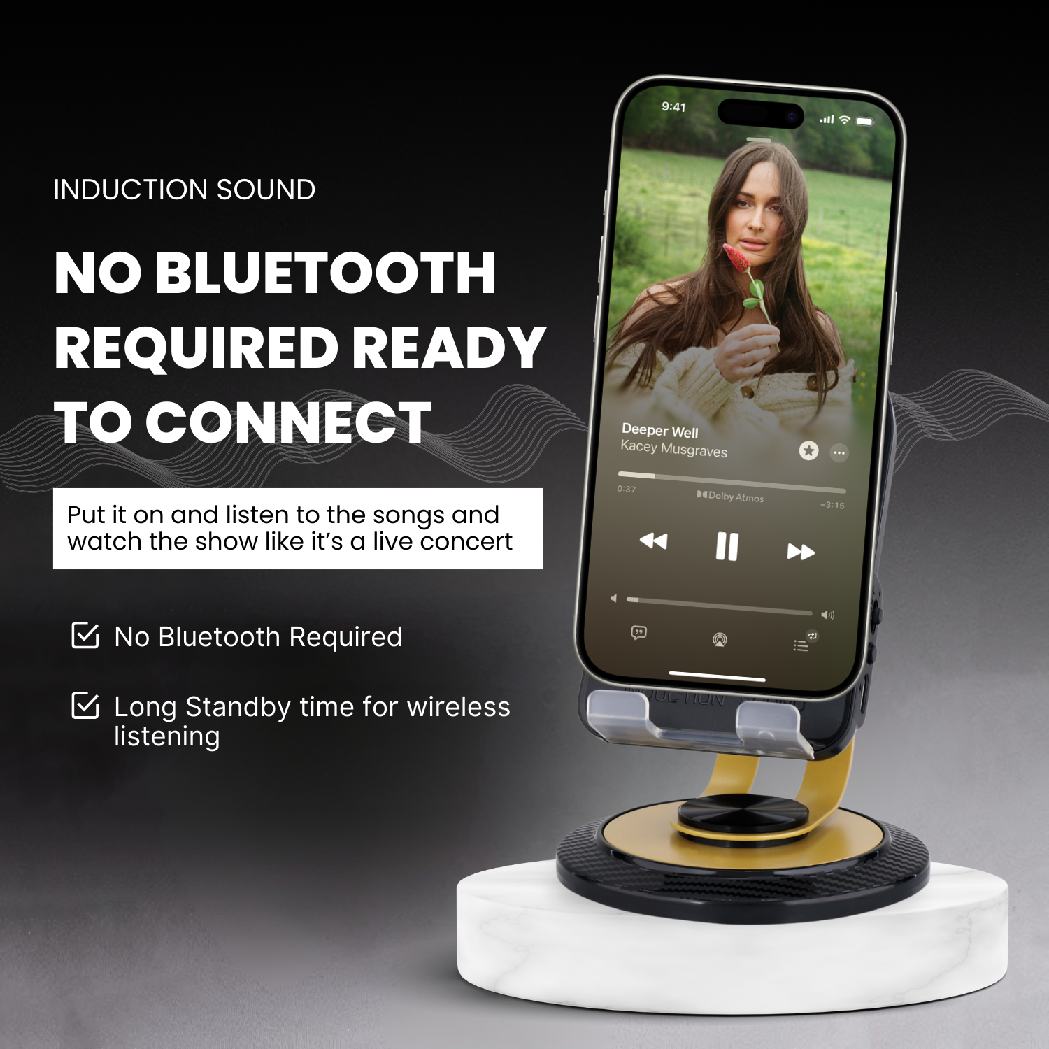 Remaxx Echo Multi-Functional Induction HIFI Speaker with Phone holder